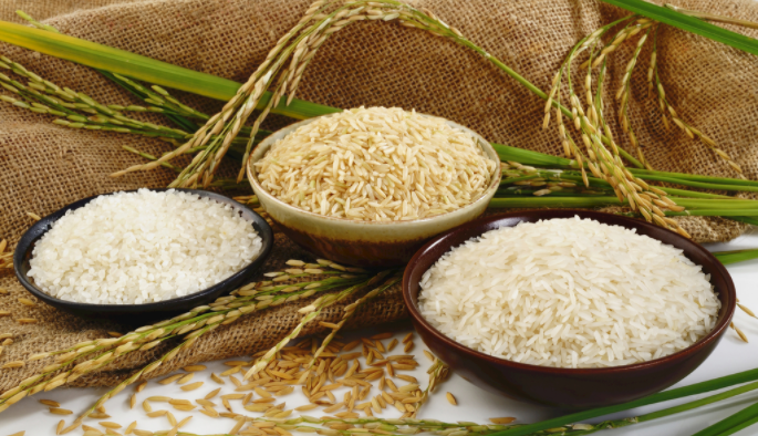 1678871723536509.png 3.png